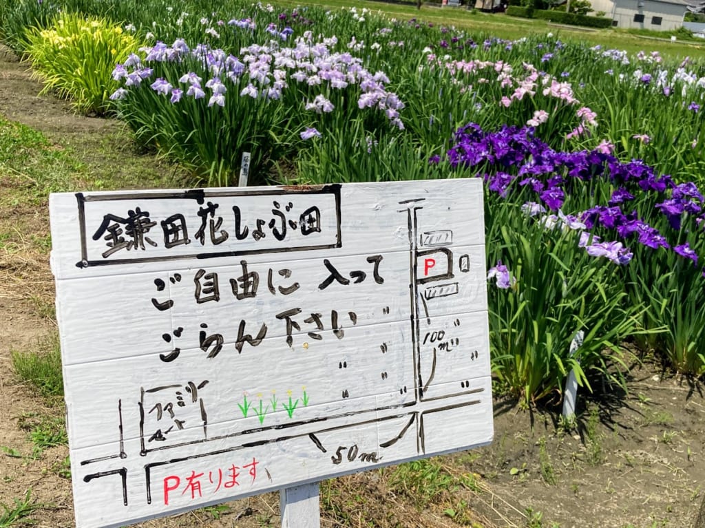 鎌田花しょうぶ園看板