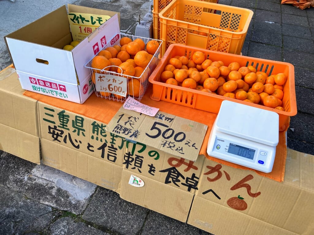 熊野産直みかん500円