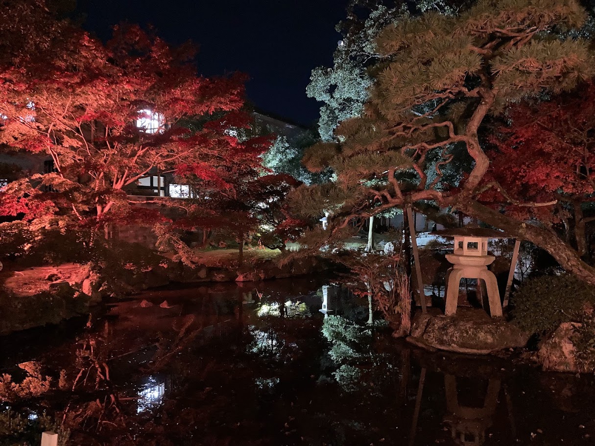 長谷川ナイト池