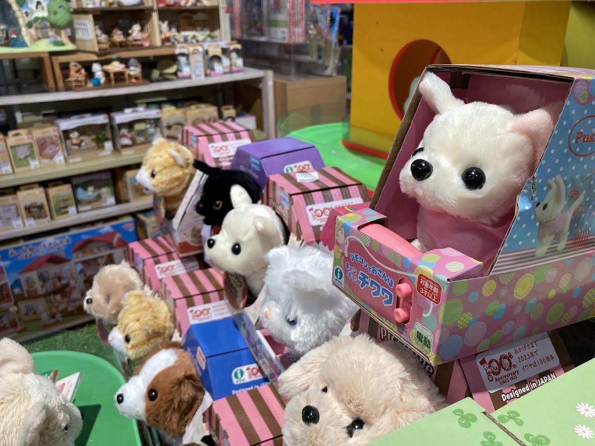 アシュメリー2025いぬ