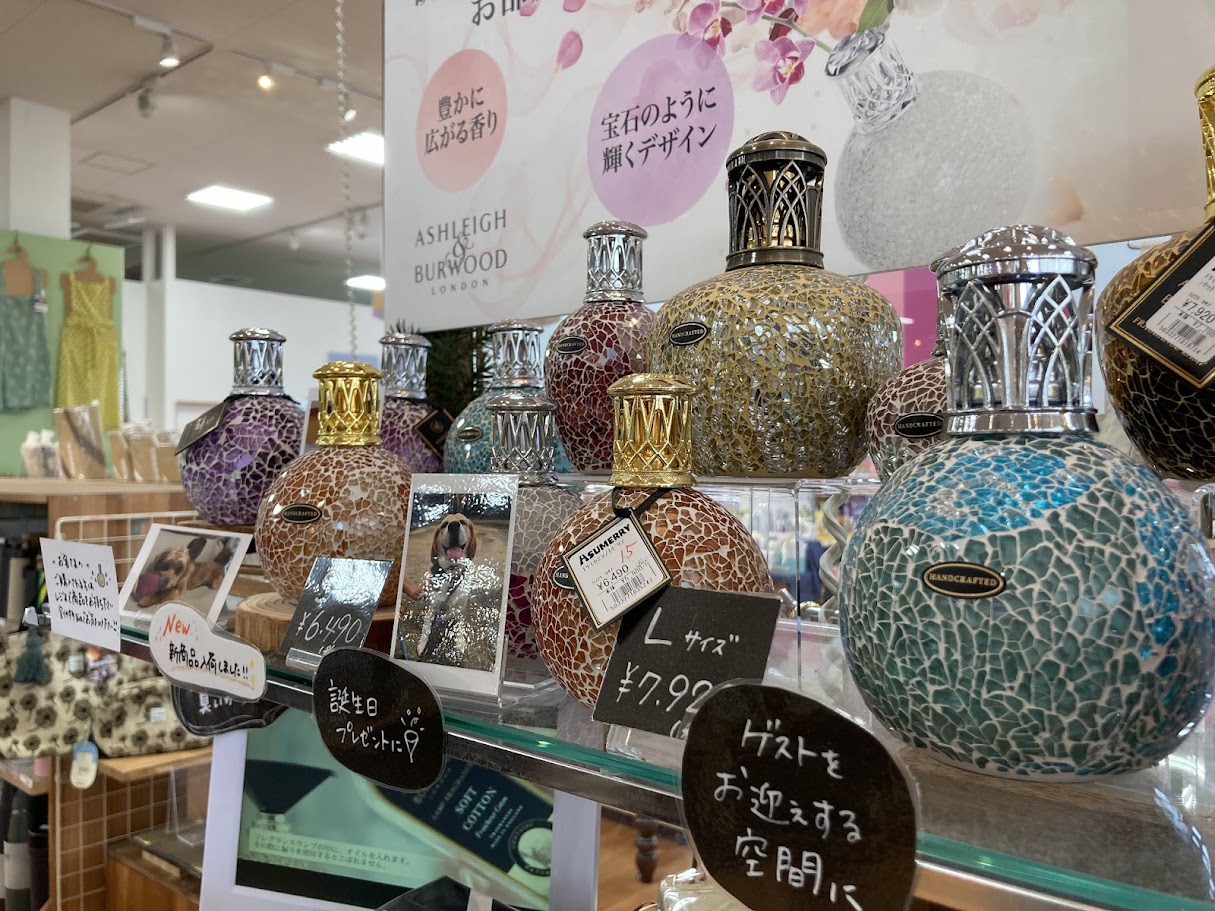 アシュメリー2025ビン