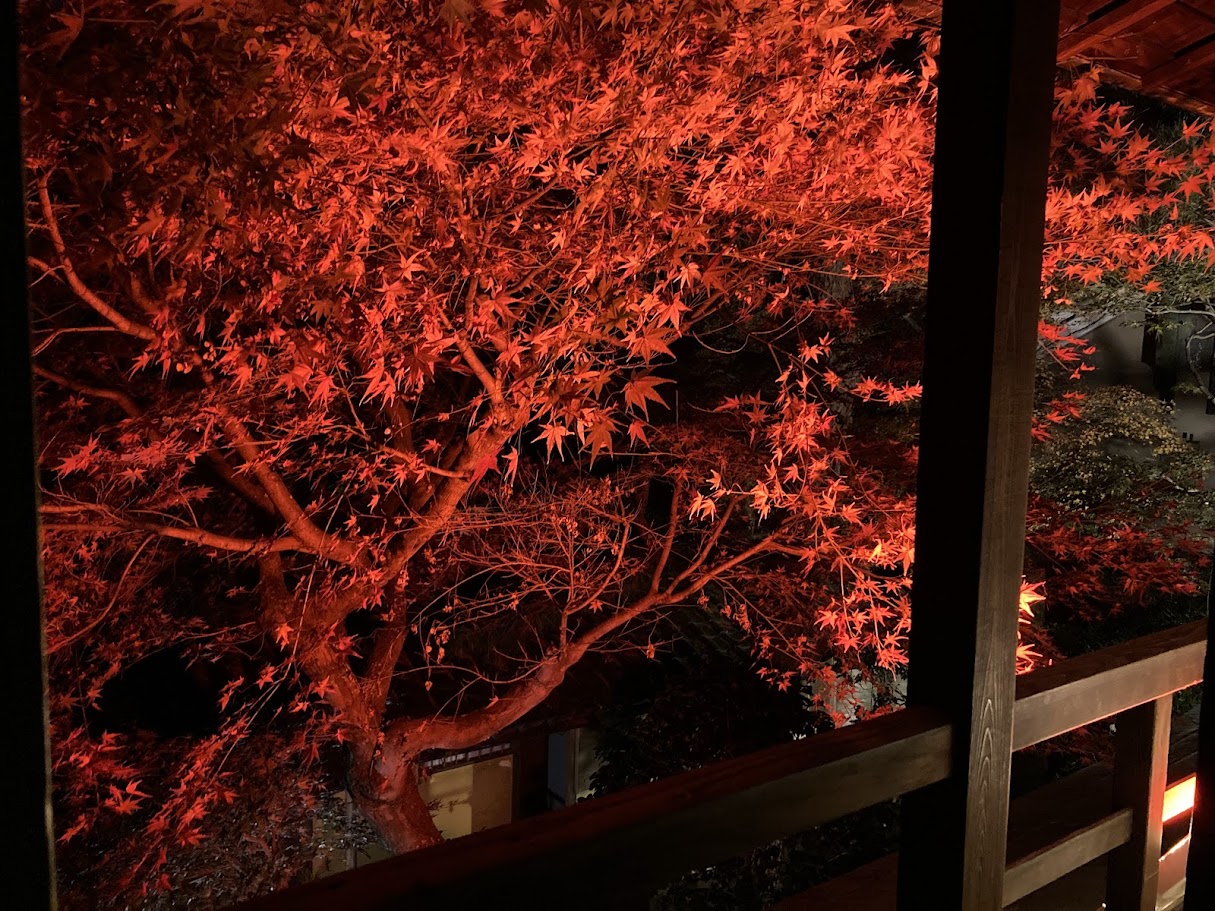 長谷川家紅葉2025ニカイ紅葉