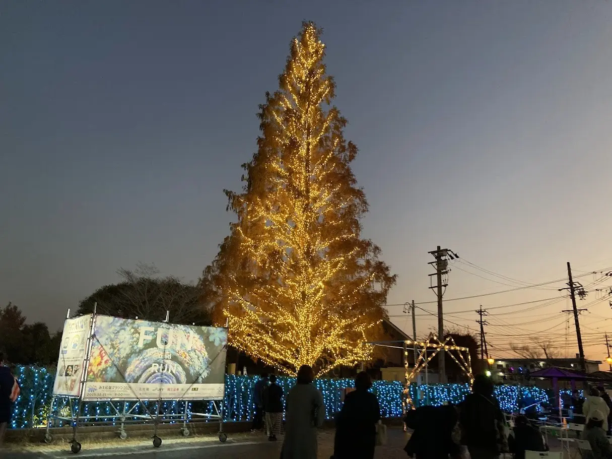 松阪の一夜2025ツリー