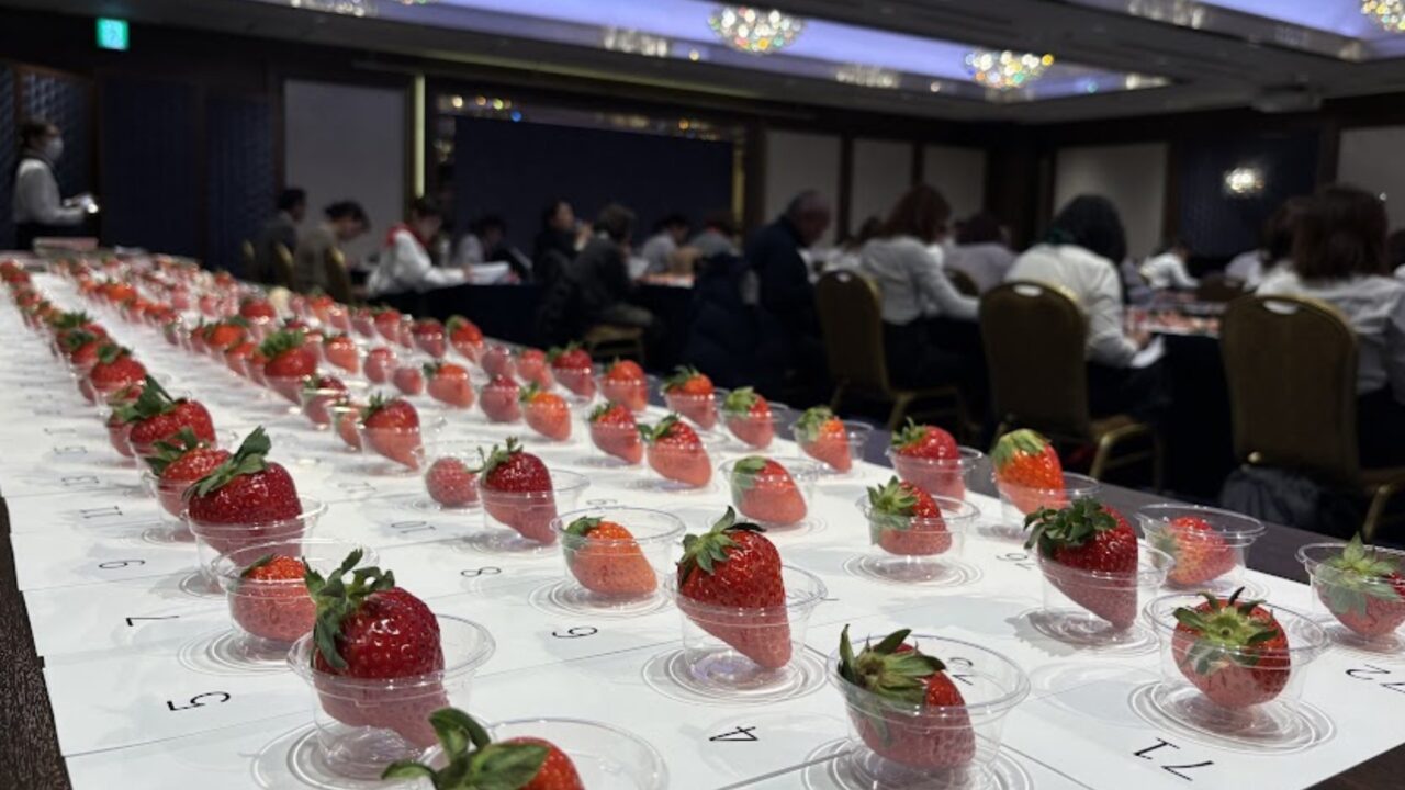 第4回いちご選手権に並んだ苺