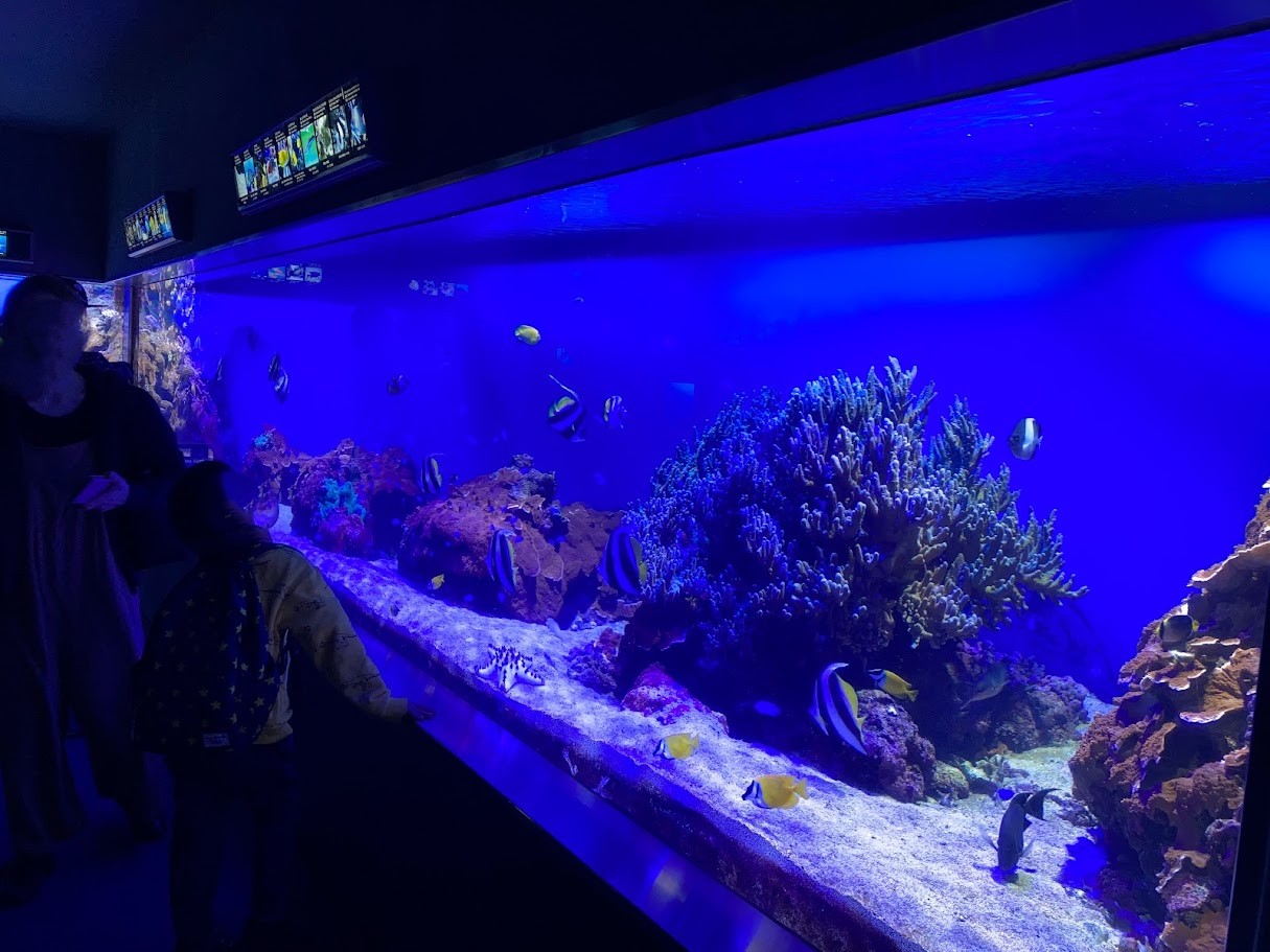 鳥羽水族館水槽横長