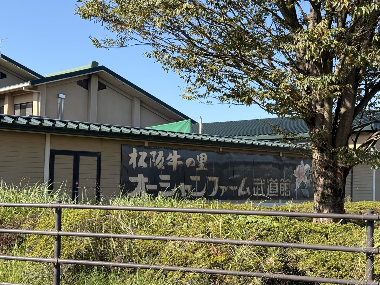 スポーツのチカラ