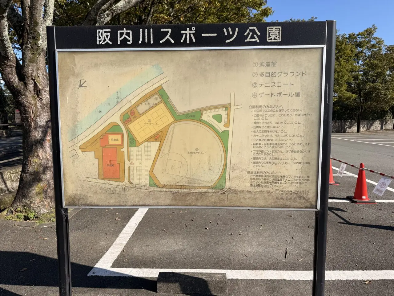 スポーツのチカラ